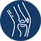 Rodilla
